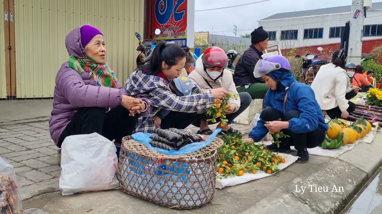 full video 30 days:single mother harvest & rescuing an abandoned baby girl-build a bamboo house
