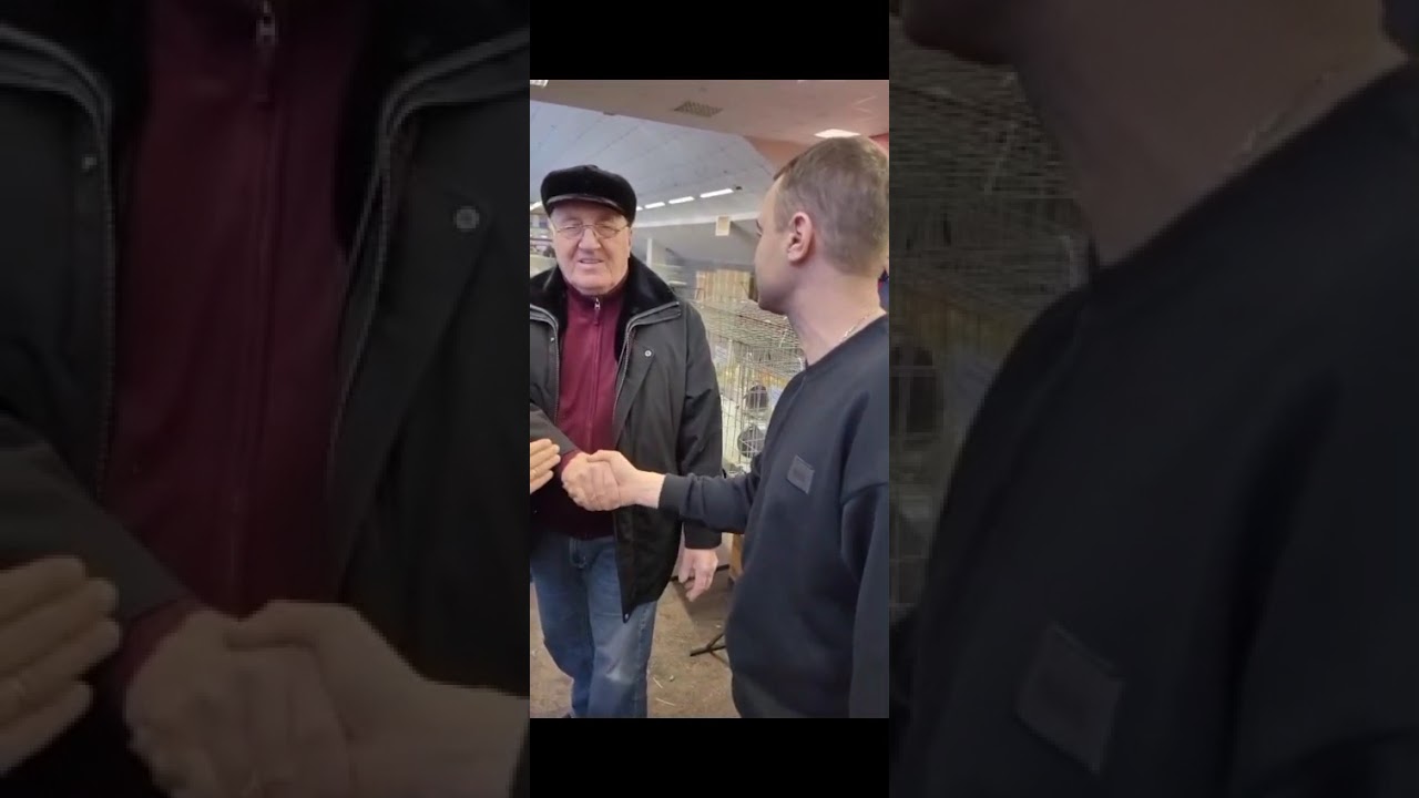 КВГ Орион на Московской выставке голубей 18.01.2026. 