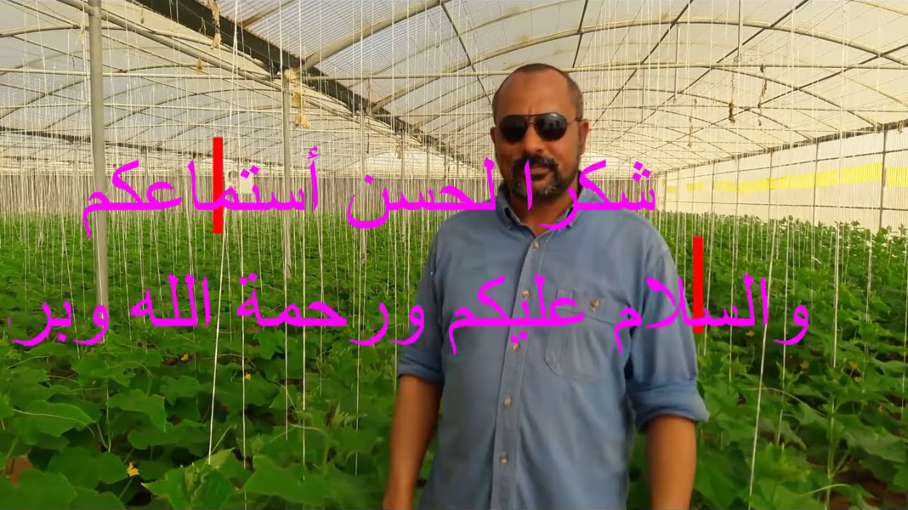 الصقيع وكيفية الحد من أضراره