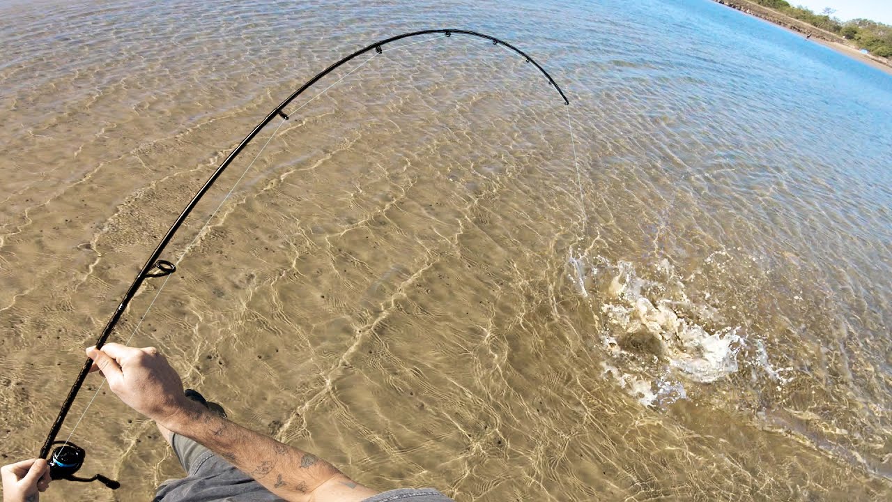 Estuary Fishing Catch n Cook