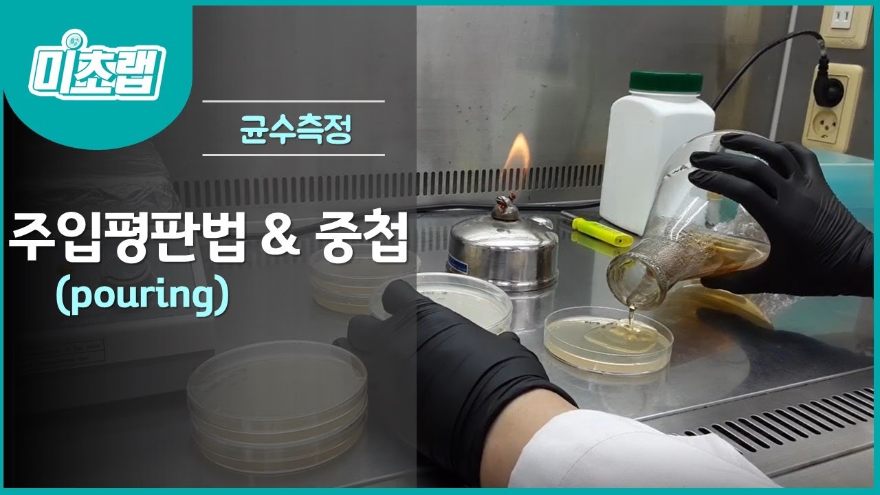 MBcell 균수 측정-주입평판법 실험하기! (중첩)