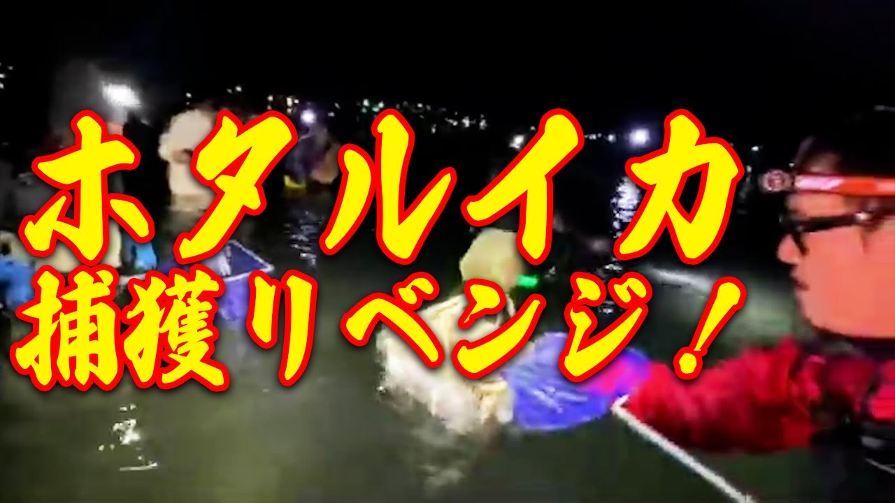 【ついに実食！？】ホタルイカを捕獲するぞ！2025 リベンジ
