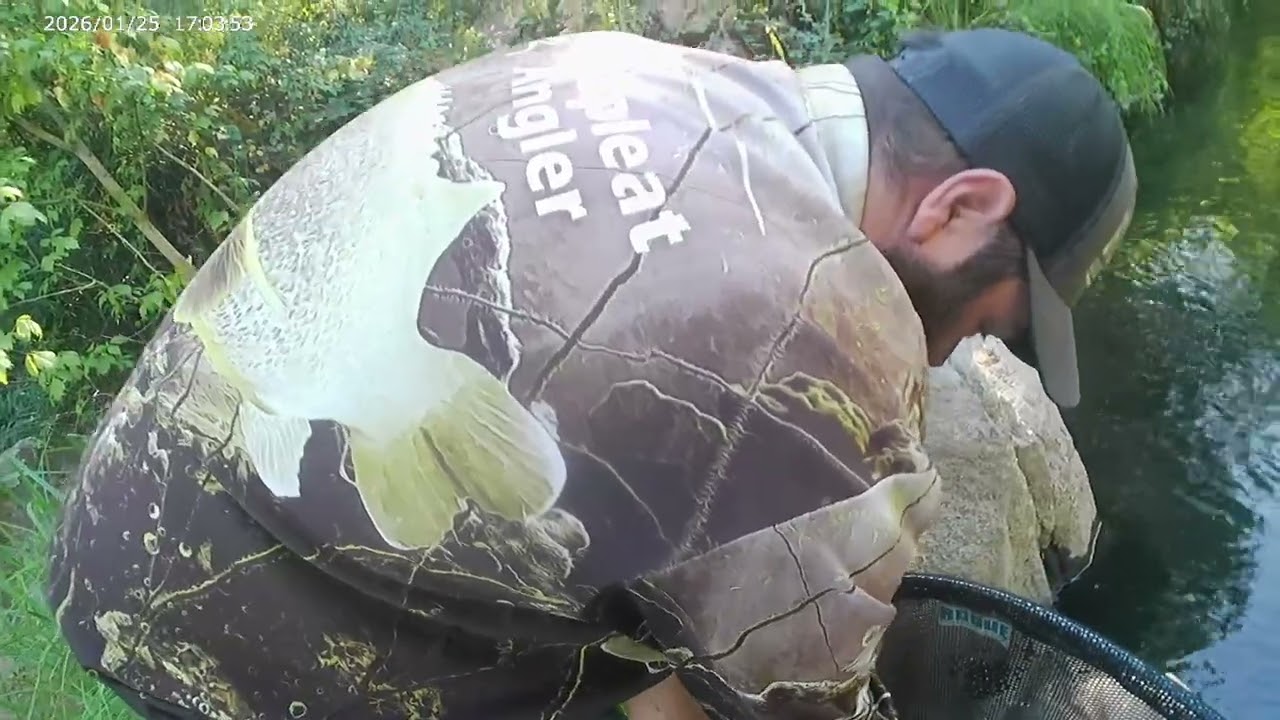 78cm Cod Caught 7/02/2026