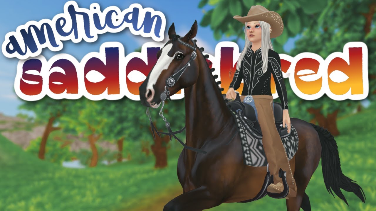 American Saddlebreds + CAMP WESTERN is here!