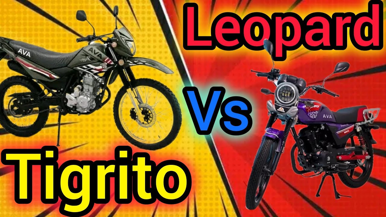 🔥 Ava Leopardo 150 vs Ava Tigrito 175 | ¿Cuál es mejor para ti? 👌