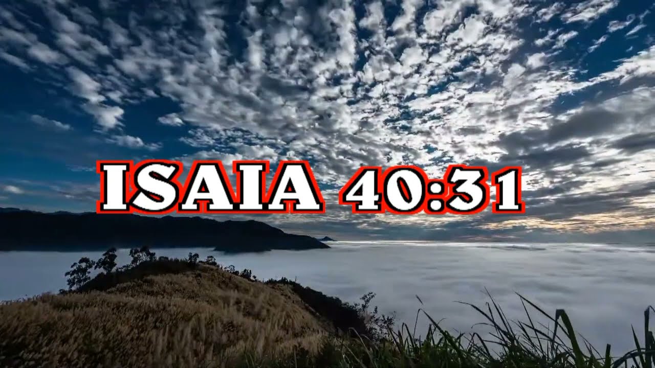 ISAIA 40 : 31 Luciano Gruppo Shekinah