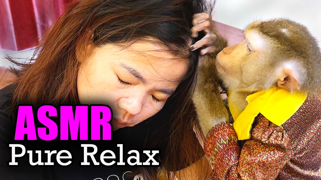 ASMR Deep Sleep & Pure Relax | Gentle Monkey Head Tapping & Hair Play