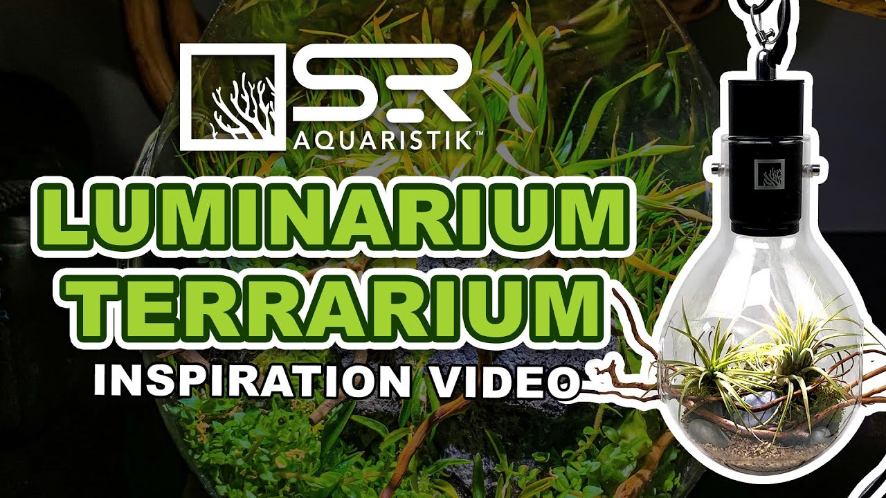 SR Aquaristik Luminarium Terrarium Inspiration Video