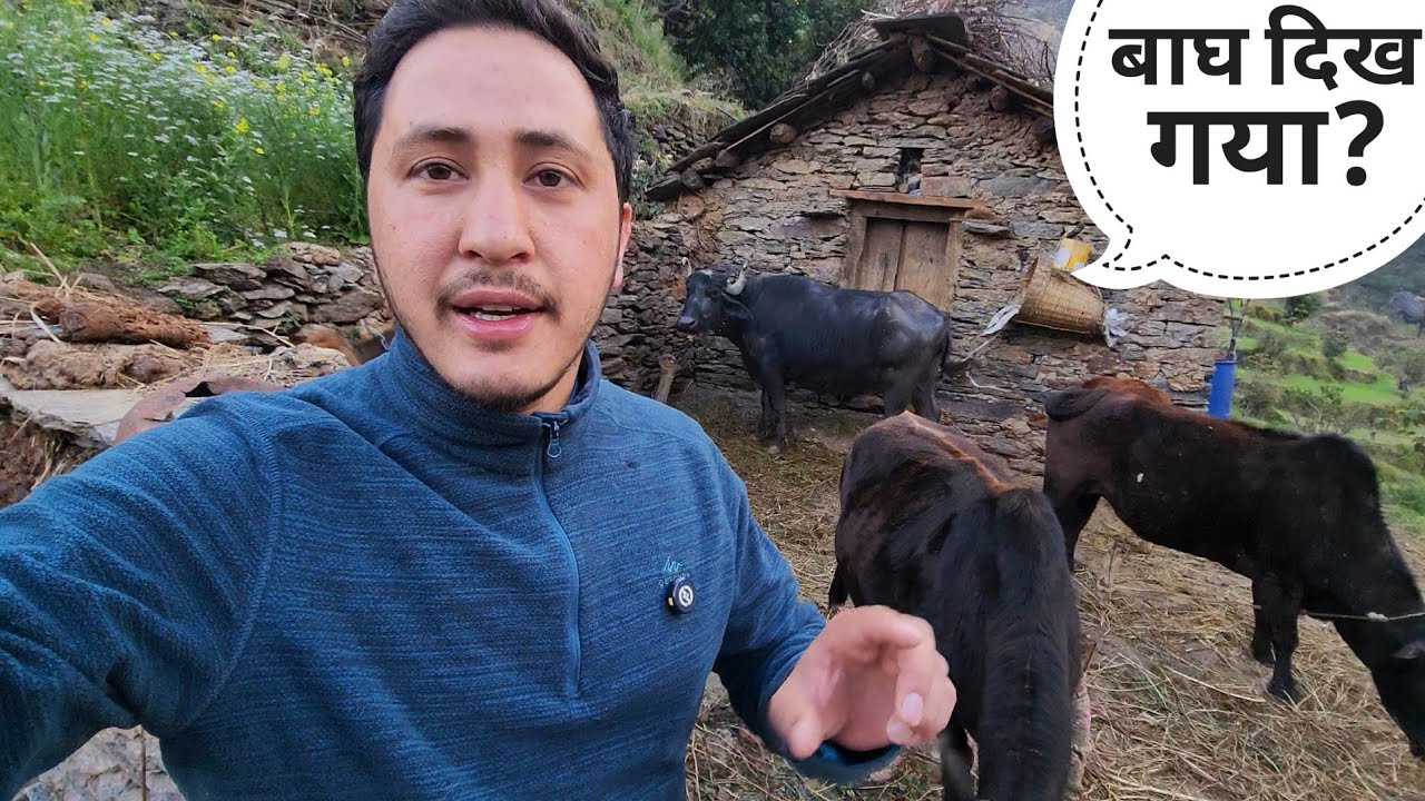 यहां जंगली जानवरों का बहुत डर है || Pahadi Lifestyle Vlog || Cool Pahadi