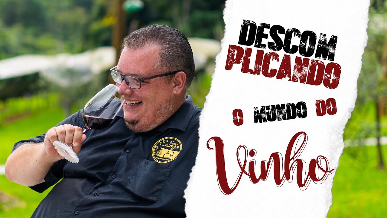 Descomplicando termos e expressões do mundo do vinho!