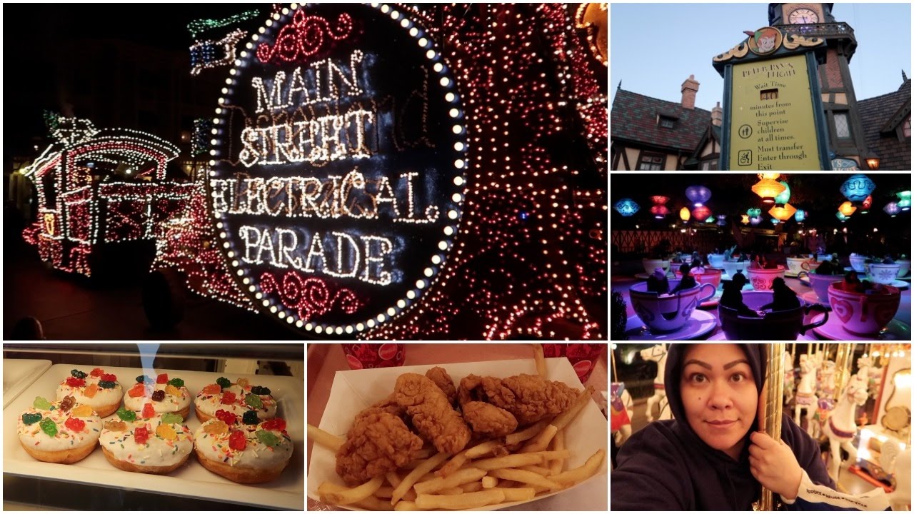 WE'RE BACK AT DISNEYLAND! - February 26, 2017