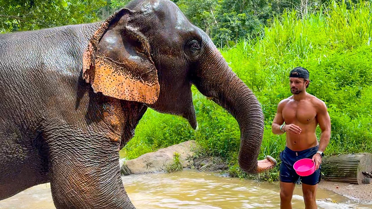 Chiang Mai, Chiang Rai & Pai - Our First Time In Thailand!