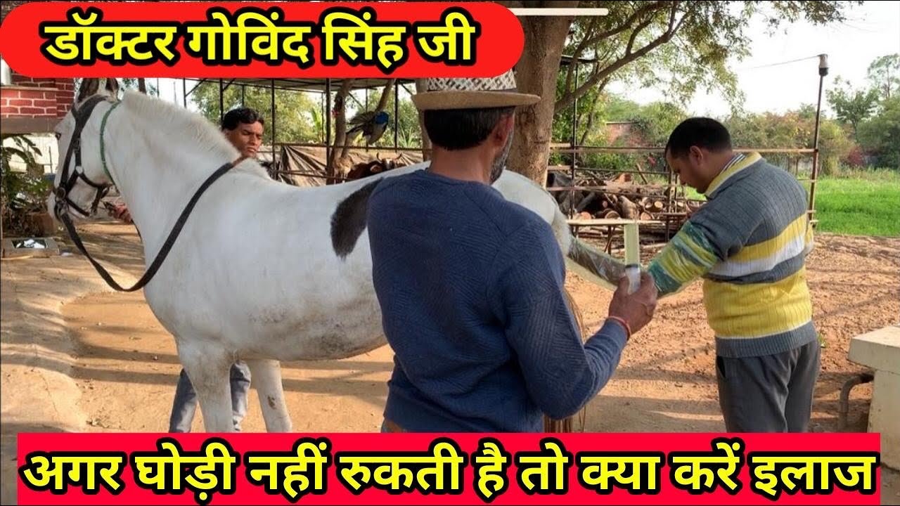 अगर घोड़ी नहीं रुकती है तो क्या करें इलाज