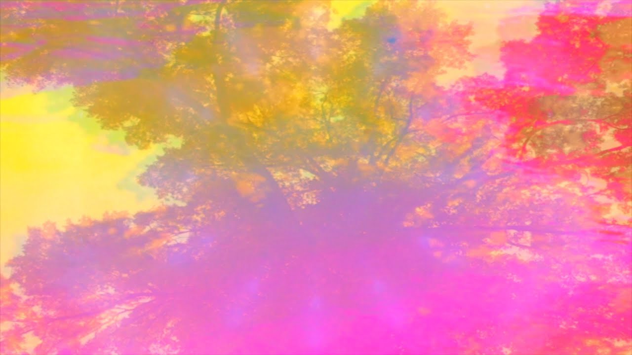 Color of Light - Sunkissed (Official Music Video)