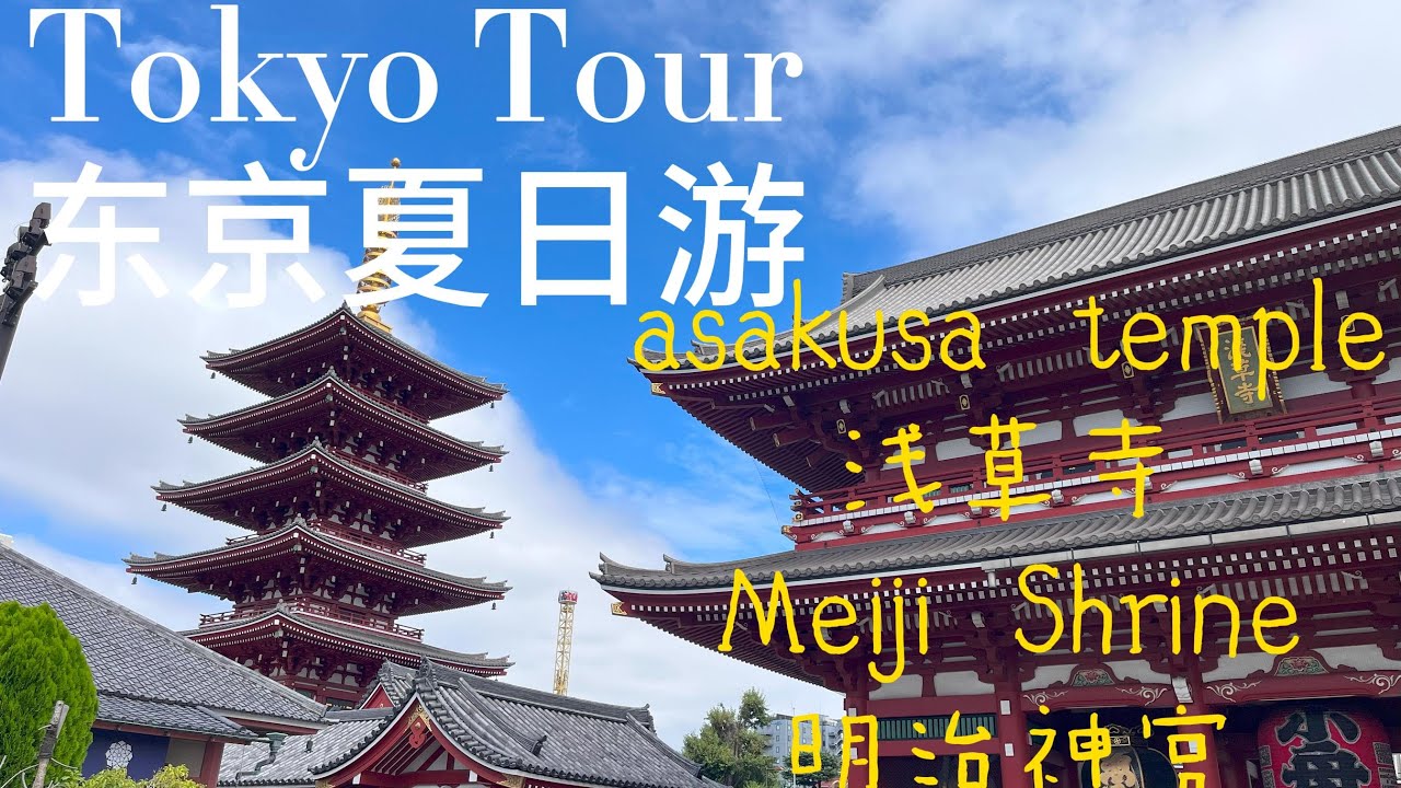 东京浅草寺和明治神宫， 体验御利益祈福。 Asakusa Temple and Meiji Shrine tour and Japanese tradition experience.