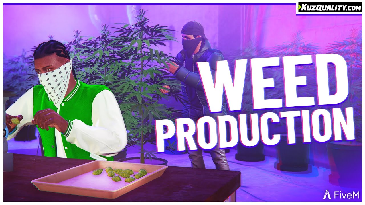 Weed Production | FiveM Script [ESX, QBCore, QBox] | KuzQuality