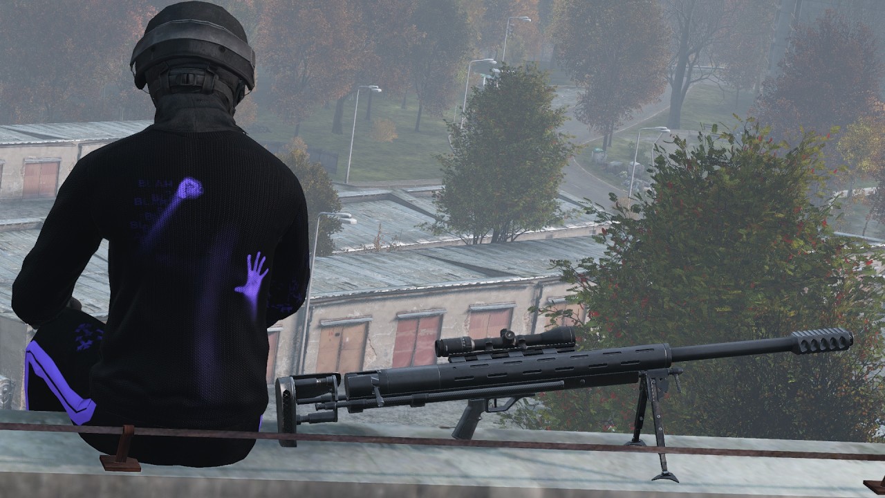 my last DayZ wipe #dayz #warz #dayzpvp