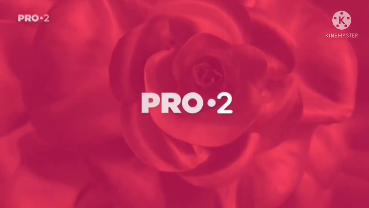 PRO 2 Arculat 2017-2022