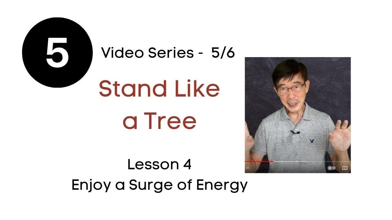 zhan zhuang - Little known ways to bring you a surge of energy (5/6)