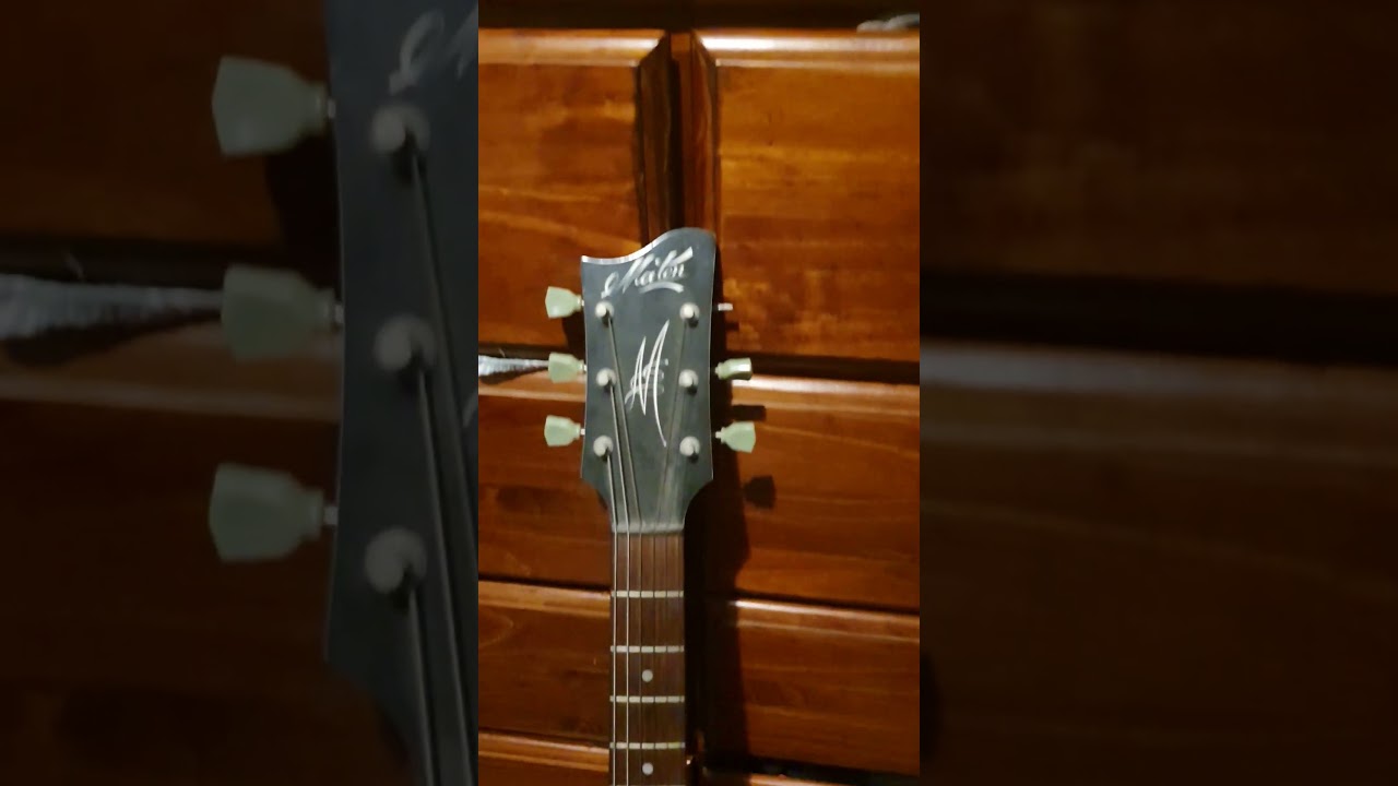 Maton MS500 For Upgrades! 
