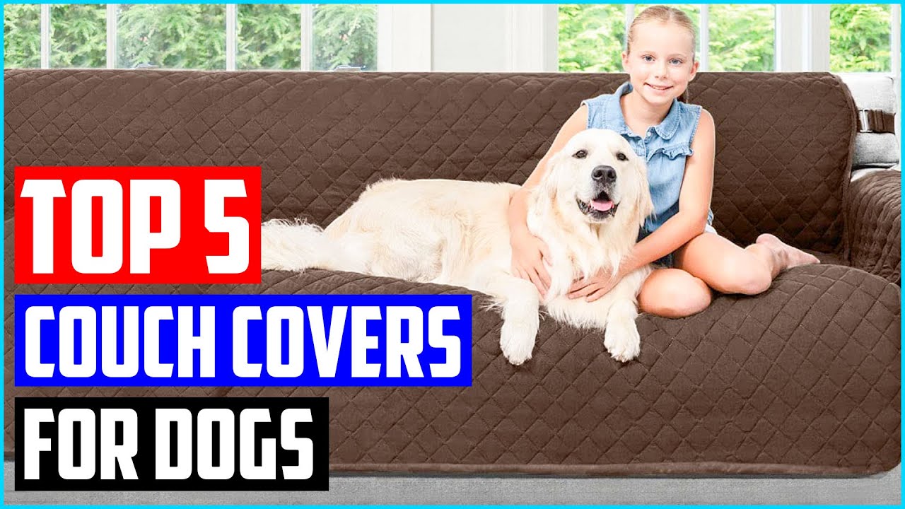 Top 5 Best Couch Covers For Dogs