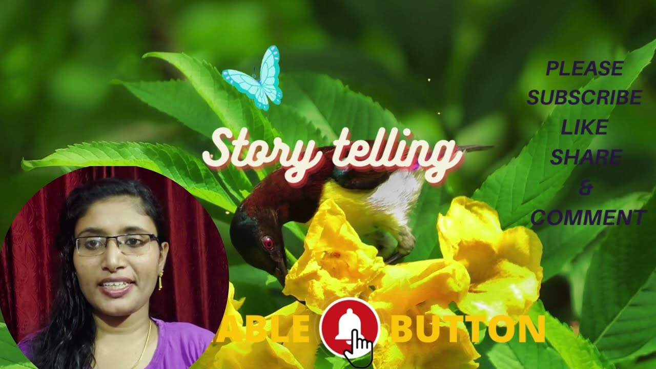 നികേഷിൻ്റെ അമ്മയെ കണ്ടെത്തി നിധി, പൊട്ടിത്തെറിച്ച് ഭാസ്‌ക്കരൻ #kattathekilikkoodu
