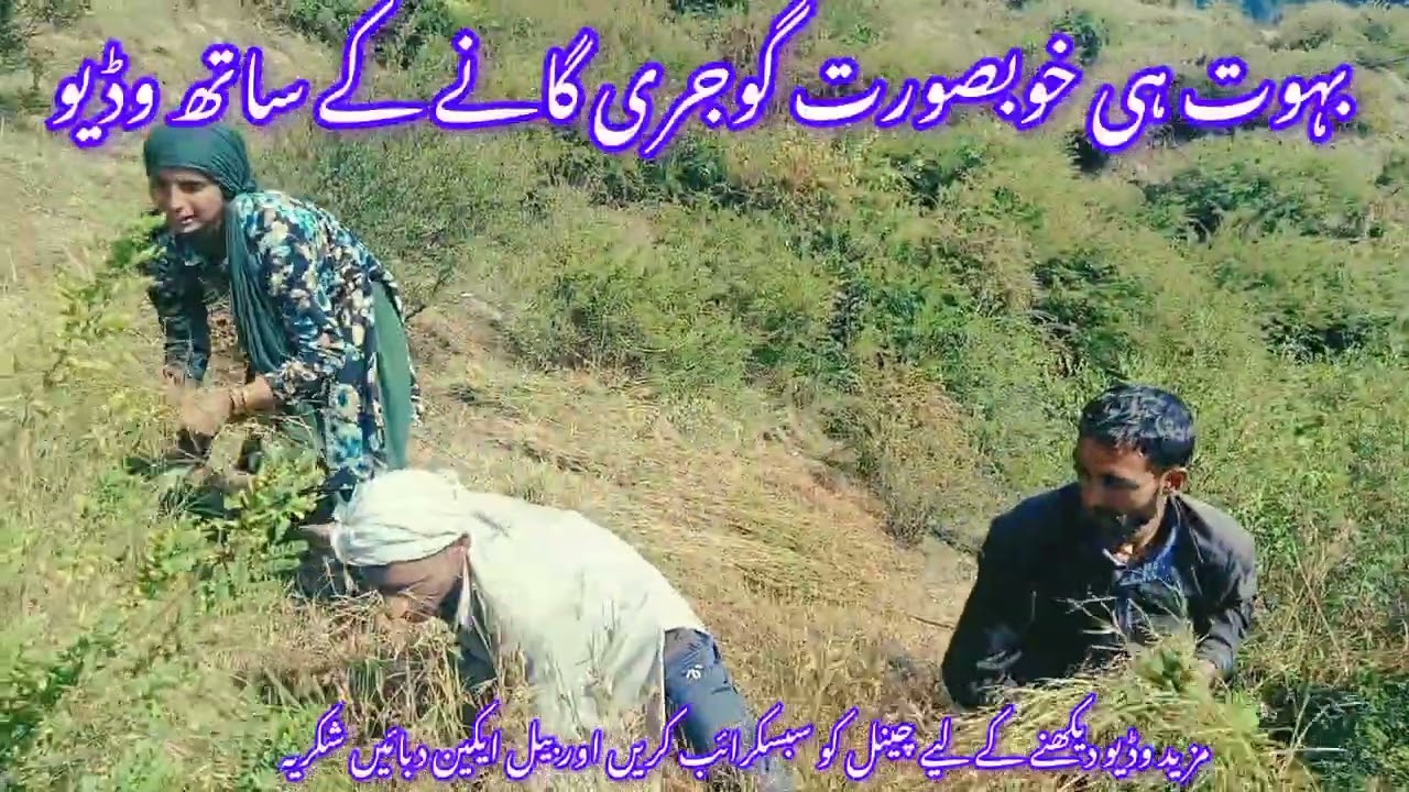Gojri song gojri video اک بہت ہی خوبصورت گوجری ساتھ گانے کے @yousaf farman
