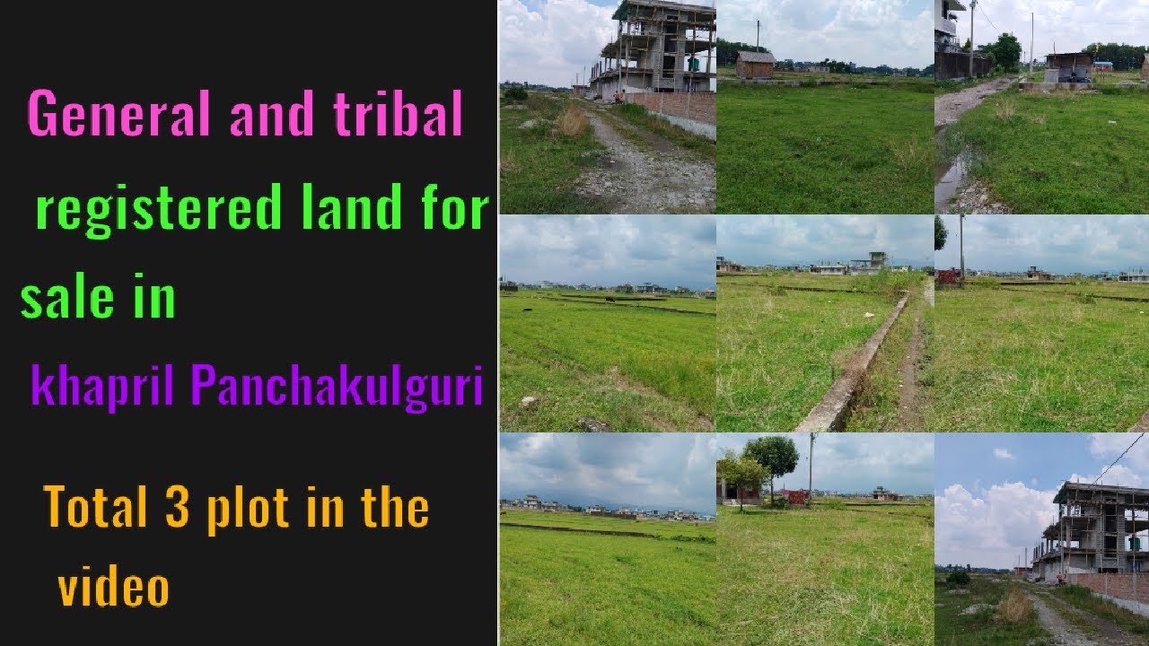 General and tribal registered land for sale in khapril PanchakulguriTotal 3 plot in the video