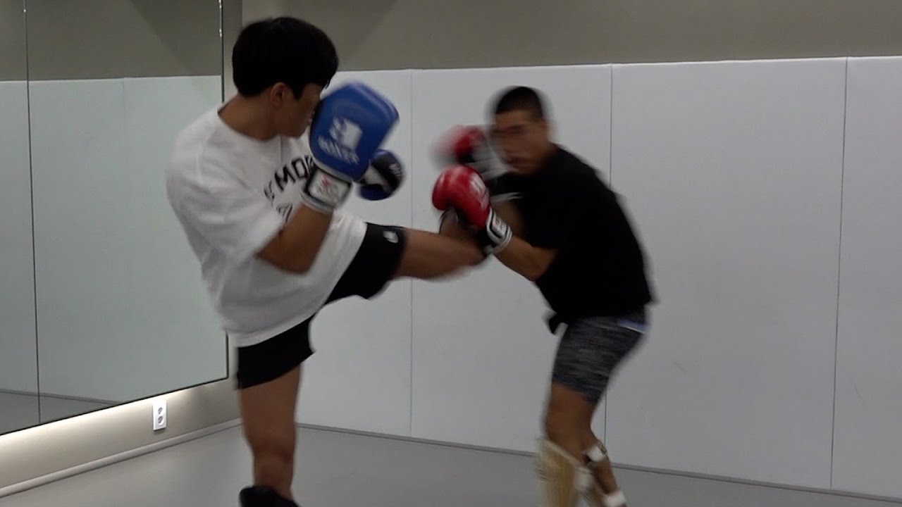 파이터와 UFC파이터의 레벨 차이...와...
