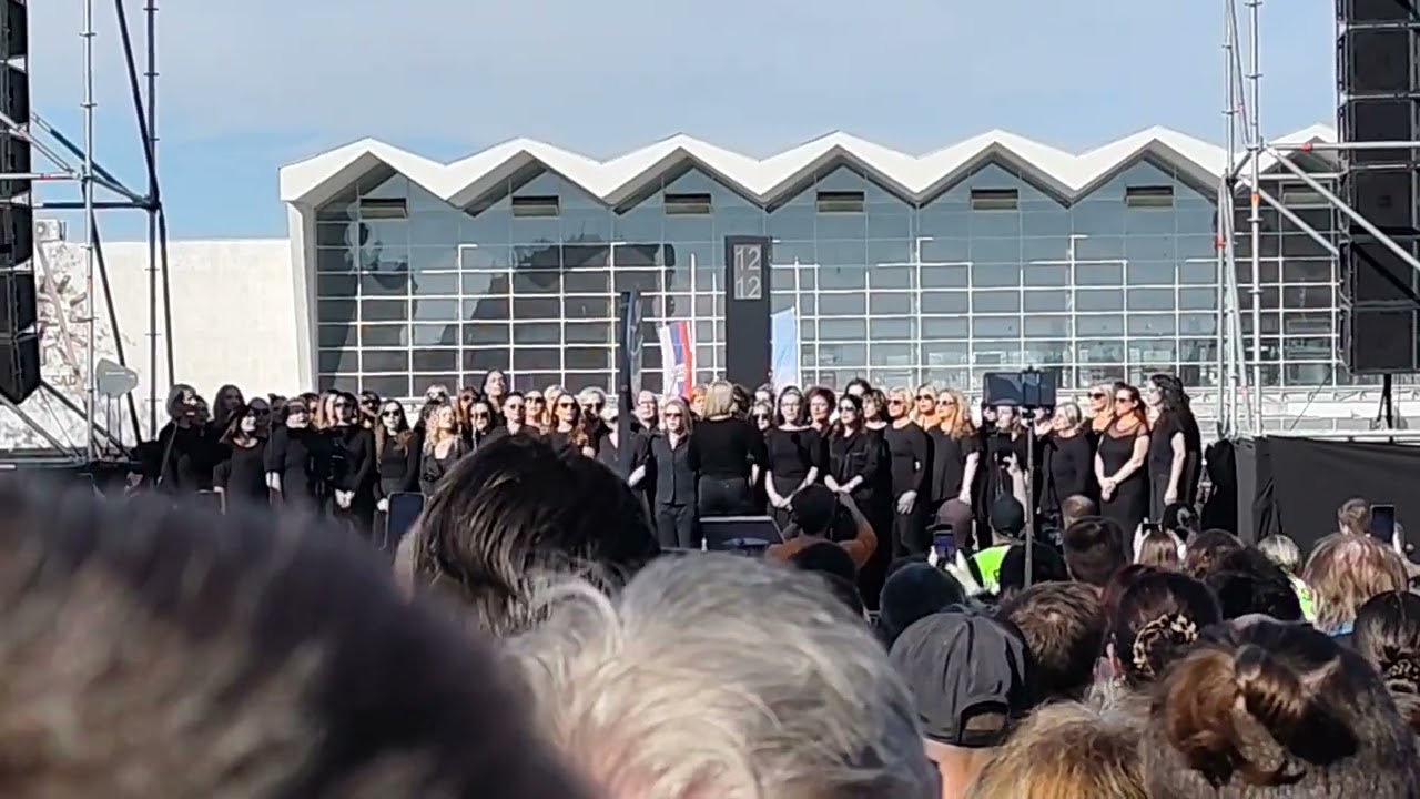 Cveta trešnja u planini - hor, NS, 01.11.2025.