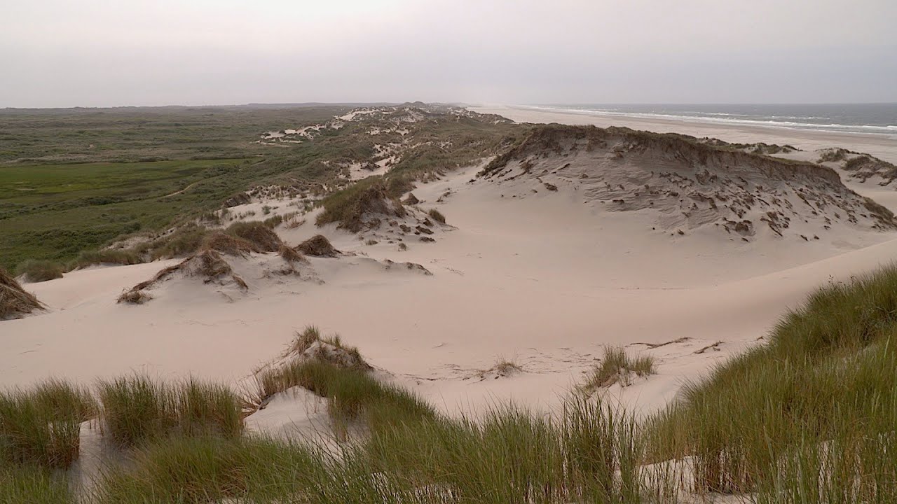 Staatsbosbeheer & Hans den Hartog | De Boschplaat