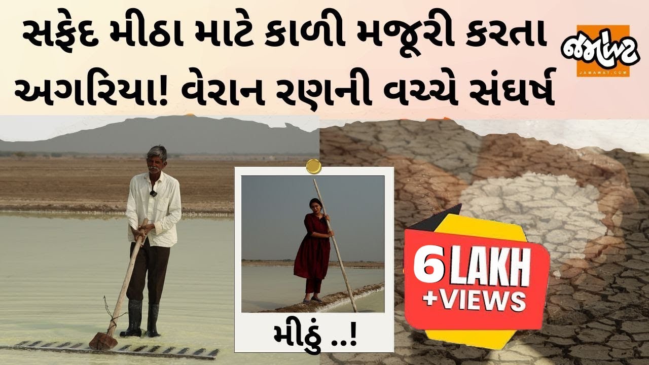 Patdiના Zinzuvadiya Rannમાં કેવી રીતે મીઠું પકવે છે અગરિયા? STORY OF SALT FARMERS।Gujarat
