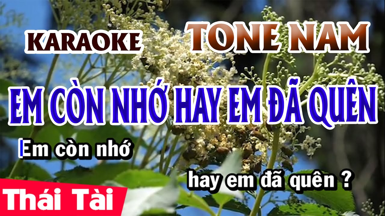 Karaoke Em Còn Nhớ Hay Em Đã Quên Tone Nam | Thái Tài