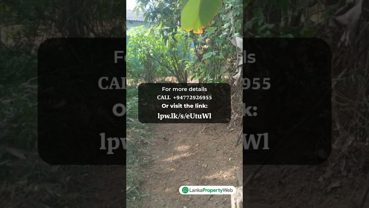 Valuable Land for Sale in Gonapola