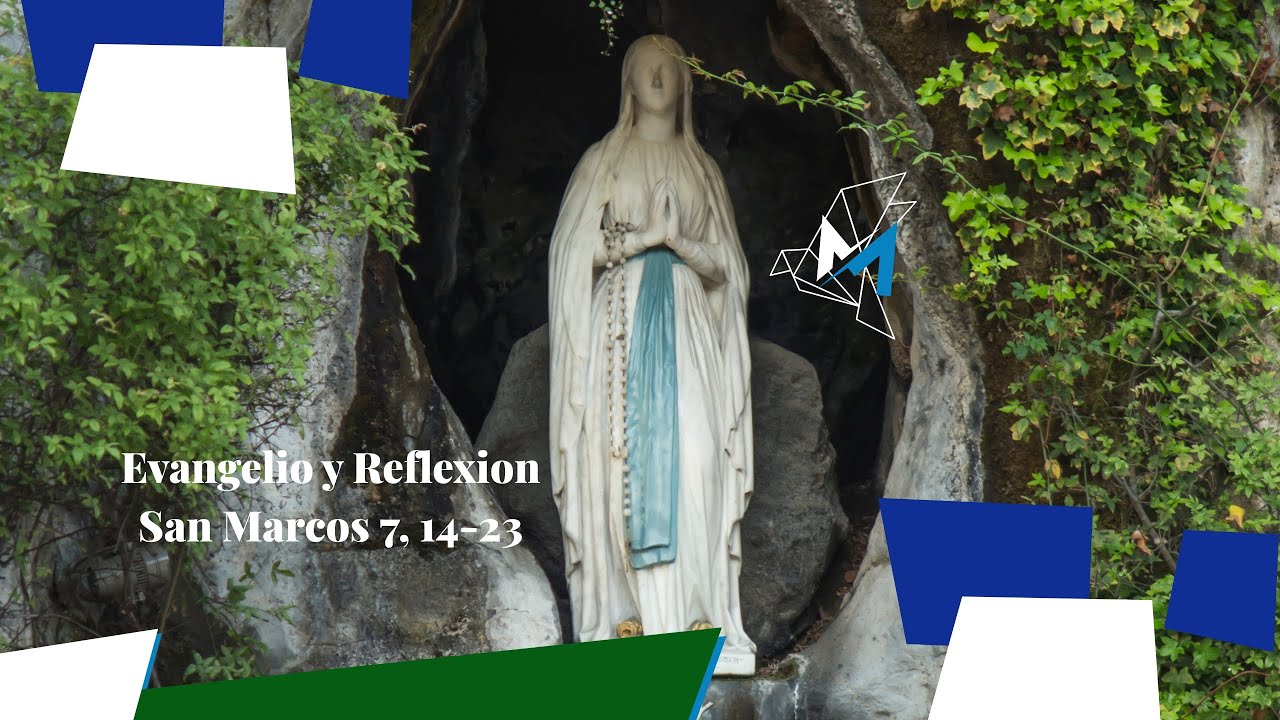 Evangelio y Reflexión de Hoy 11 de Febrero 2026