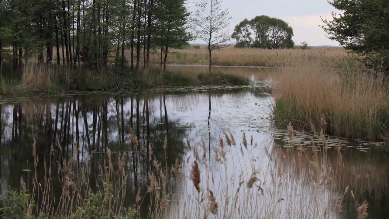 May 17, 2009. Lithuania - Rusne. [1080p HD]