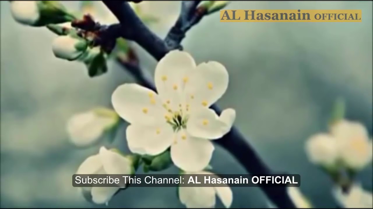 Hazrat Bayazeed Bastami & Jewish Scholar bayan by Maulana Tariq Jameel 2016   YouTube