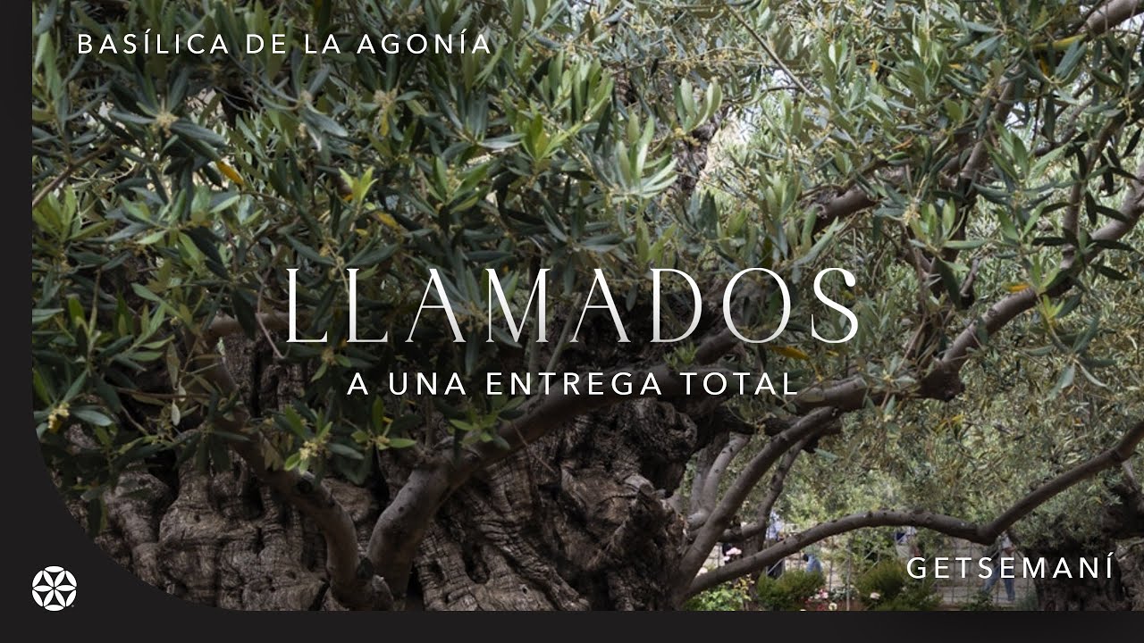 Llamados a una entrega total – Getsemaní | Llamados | Magdala, Tierra Santa