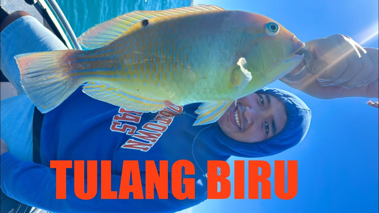 Tulang Biru