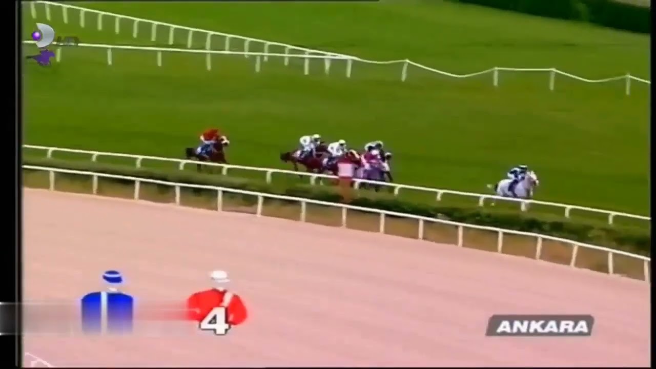 TARIM VE ORMAN BAKANLIĞI KOŞUSU 2008