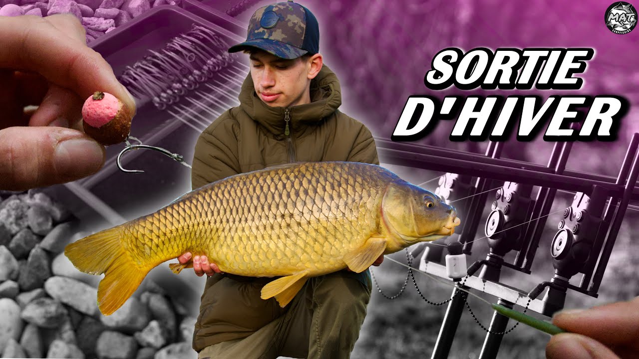 IN SESSION: Sortie d’Hiver, les carpes se réveillent !