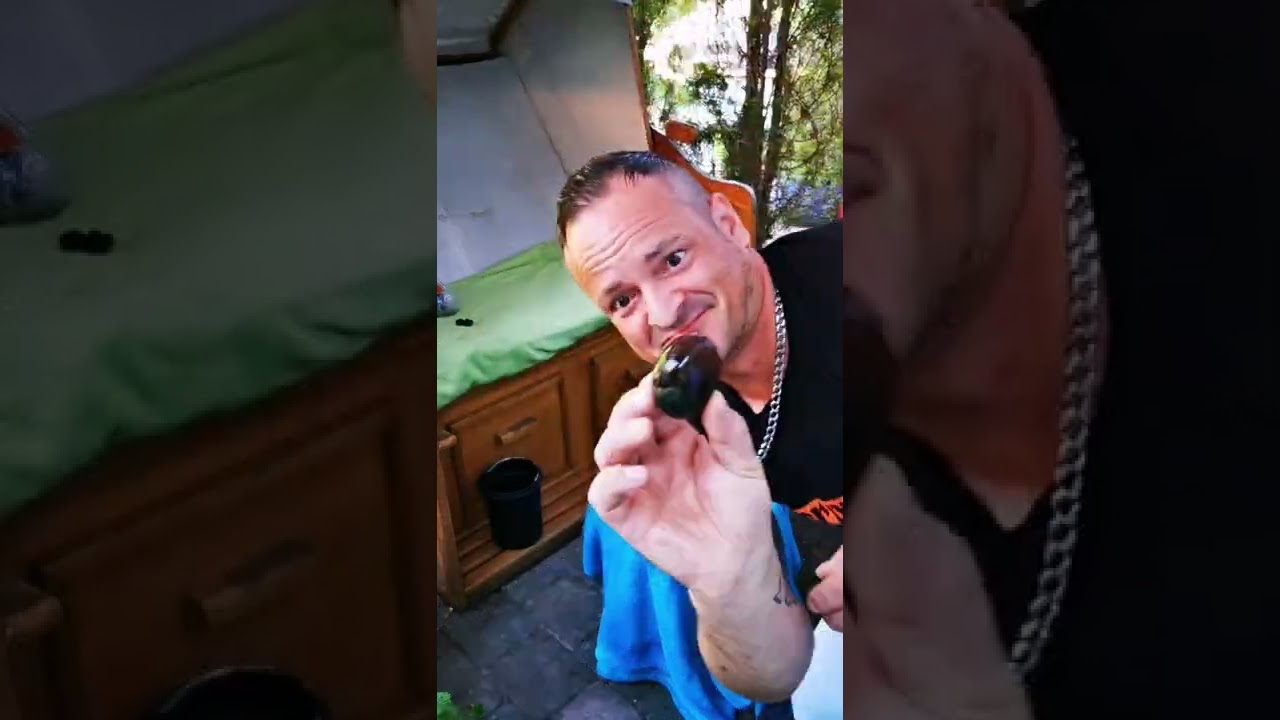 K.O in Runde 1,bewusstlos durch Tausendjähriges Ei