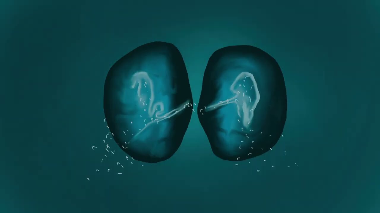 Elderbrook & Ahmed Spins - Waterfall (Extended) Official Visualiser