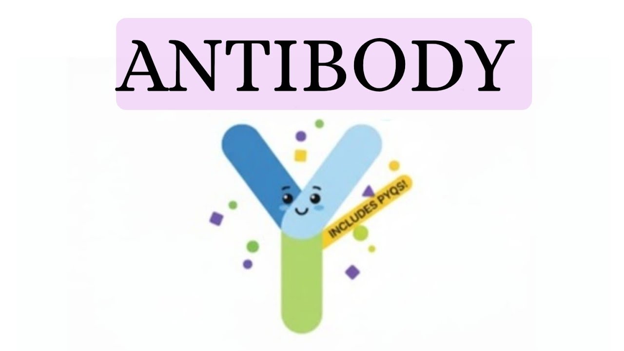 Immunity 2 |Antibody Structure| |NEET Pyqs 2025 | Important points|#NEET #cbse12thbiology #neet2026 