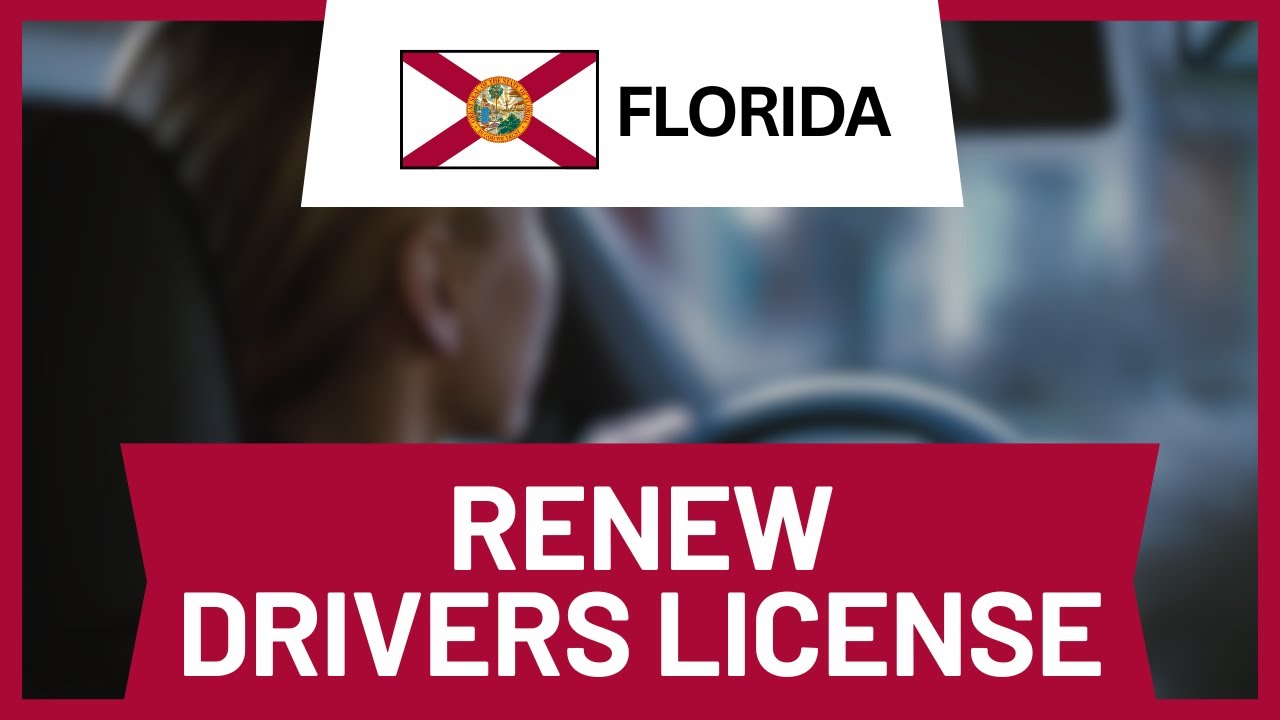 How to Renew Florida Drivers License Online (2025 Guide)