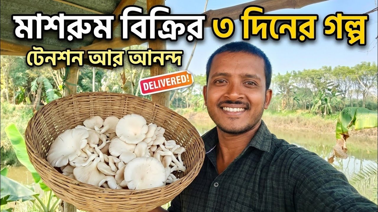 ✊️ চ্যালেঞ্জ আর ভালোবাসা। 😊🍄মাশরুম বিক্রির ৩ দিনের জমজমাট গল্প! 🧺✨ 
