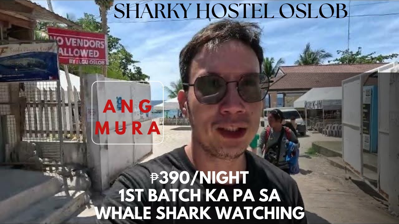 SHARKY HOSTEL OSLOB | WHERE TO STAY IN OSLOB FOR WHALE SHARK WATCHING | CHEAPEST ACCOMMODATION HOTEL