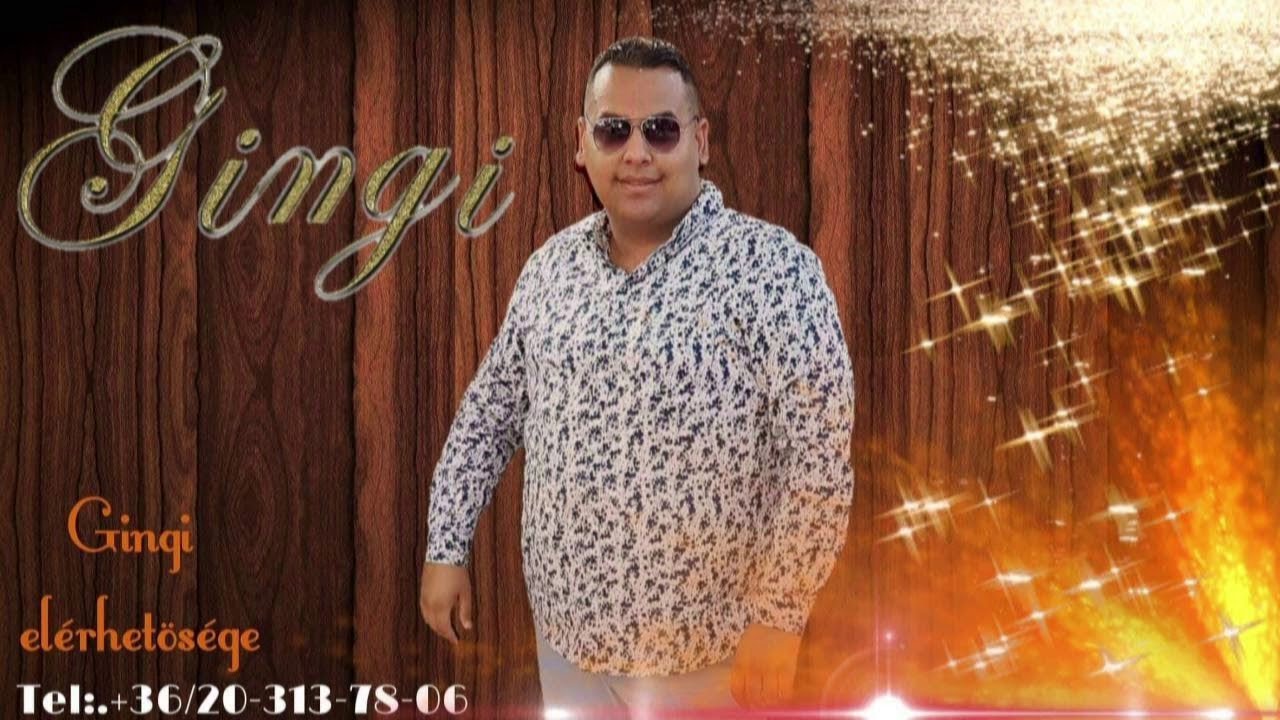 Gingi -Engedelmo mangav