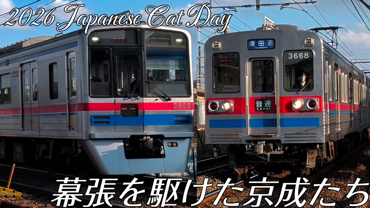 2026 Japanese Cat Day 幕張を駆けた京成たち