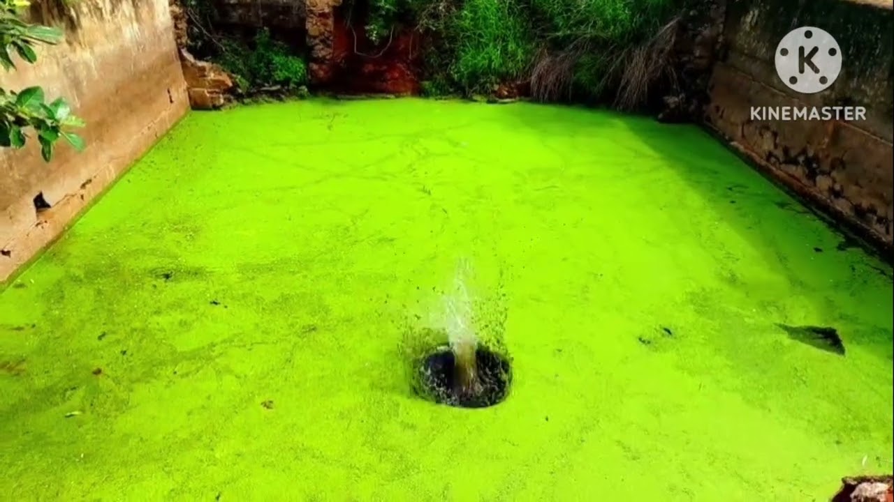 திருநெல்வேலி ஸ்ரீவைகுண்டம் கருங்குளம் அருகில் 40 ஏக்கர் நிலம் விற்பனைக்கு உள்ளது 1 ஏக்கர் 15 லட்சம்